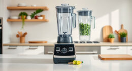 Vitamix Blender Burning Smell: Causes & Easy Fixes