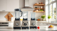 Vitamix E310 Explorian vs Vitamix Ascent X5: Full Comparison