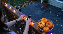 15 Best Halloween Smart Outdoor String Lights for Spooky Displays in 2027