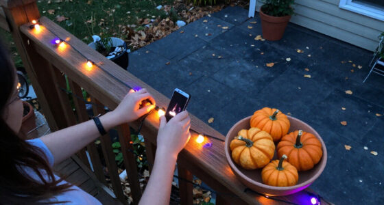 15 Best Halloween Smart Outdoor String Lights for Spooky Displays in 2027