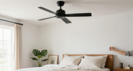 Is the Passky 52-Inch Black Low-Profile Ceiling Fan Worth It? Honest Take + Alternatives